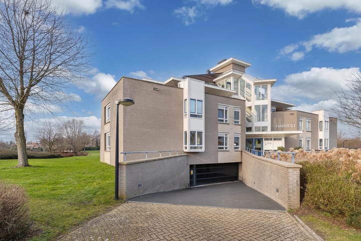 Photo 44 of Winter 4