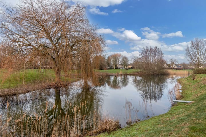 Photo 41 of Winter 4