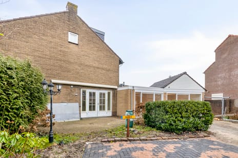 undefined main image