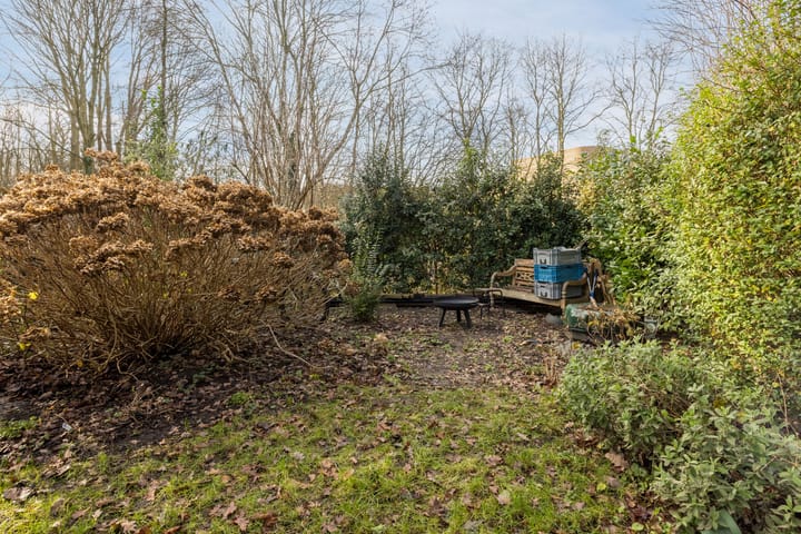 Foto 23 van Dr. L.J. Rogierstraat 104