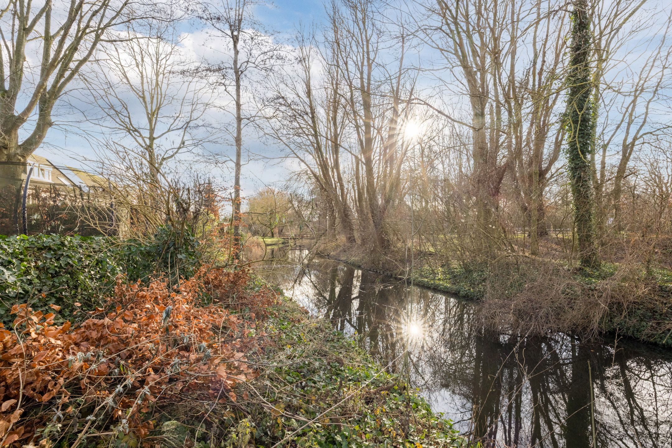 Photo 42 of Dr. L.J. Rogierstraat 104