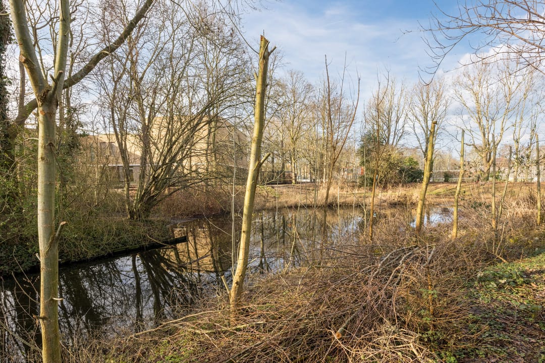 Photo 43 of Dr. L.J. Rogierstraat 104