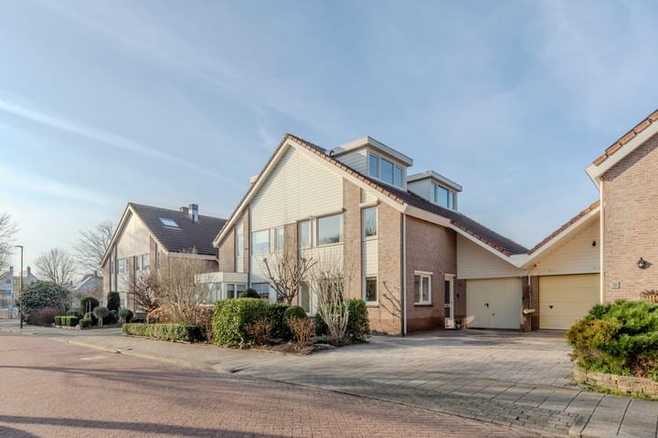 Luipaard 7 main image