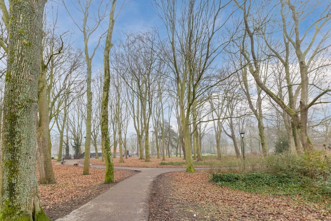 Foto 41 van Sint Maartenstraat 6-A