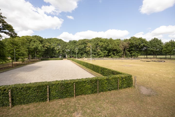 Foto 31 van Zoeksestraat 19