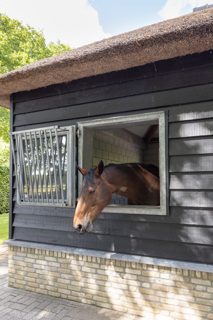 Foto 33 van Zoeksestraat 19