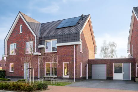 Toon van den Bornestraat thumbnail