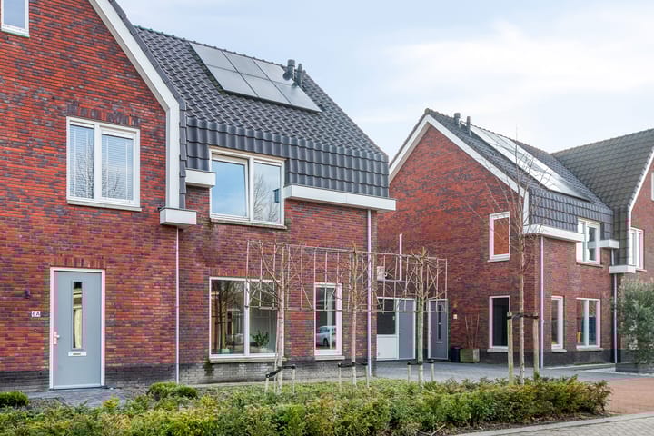 Foto 3 van Toon van den Bornestraat 6