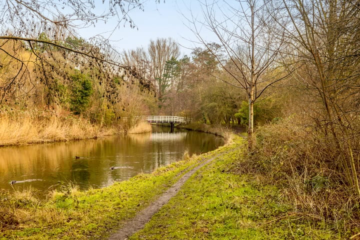 Photo 38 of Resedastraat 18