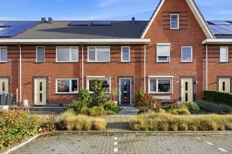 Barkstraat thumbnail