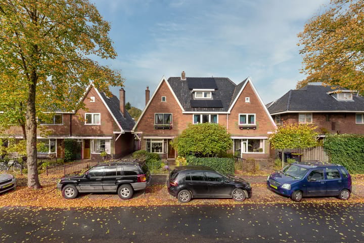 Foto 44 van Nepveulaan 95