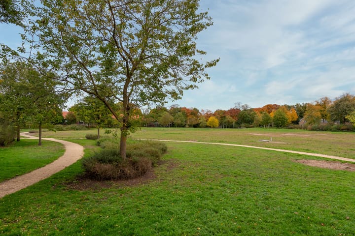 Foto 48 van Nepveulaan 95