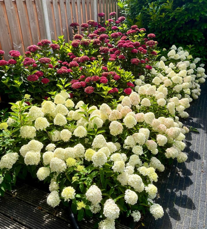 Foto 71 van Hanzeweg 52