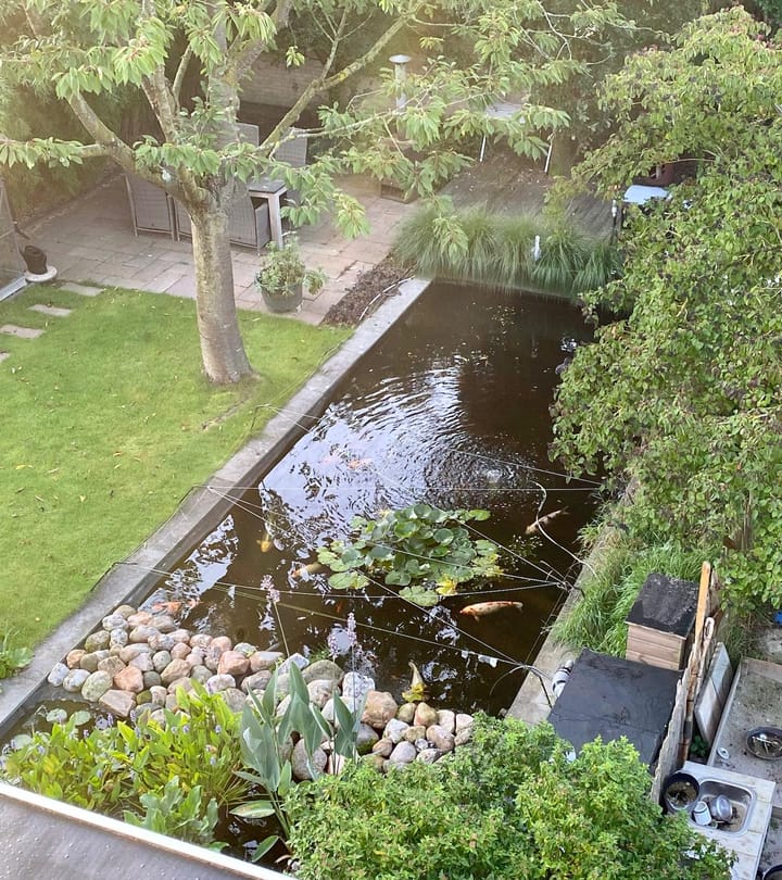 Foto 72 van Hanzeweg 52