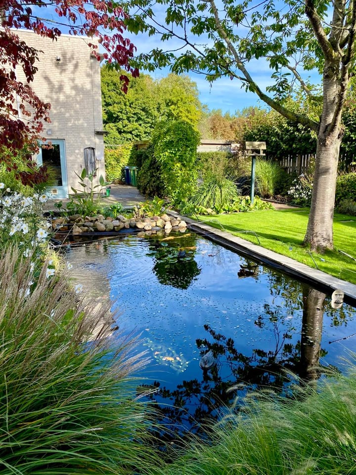 Foto 4 van Hanzeweg 52