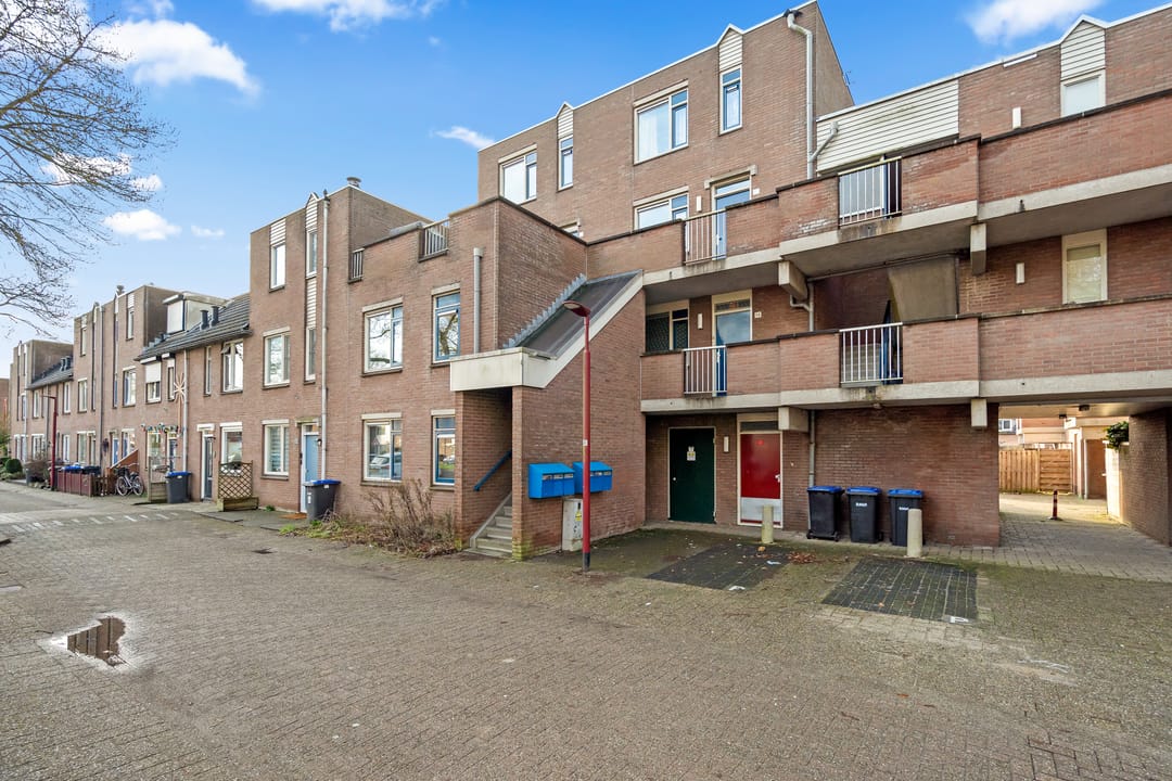Foto 1 van Aalscholver 13