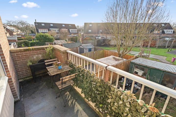 Foto 4 van Aalscholver 13