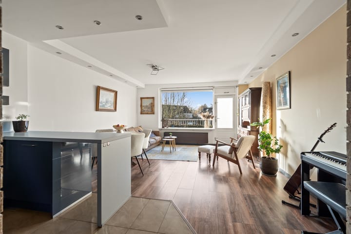 Foto 2 van Aalscholver 13