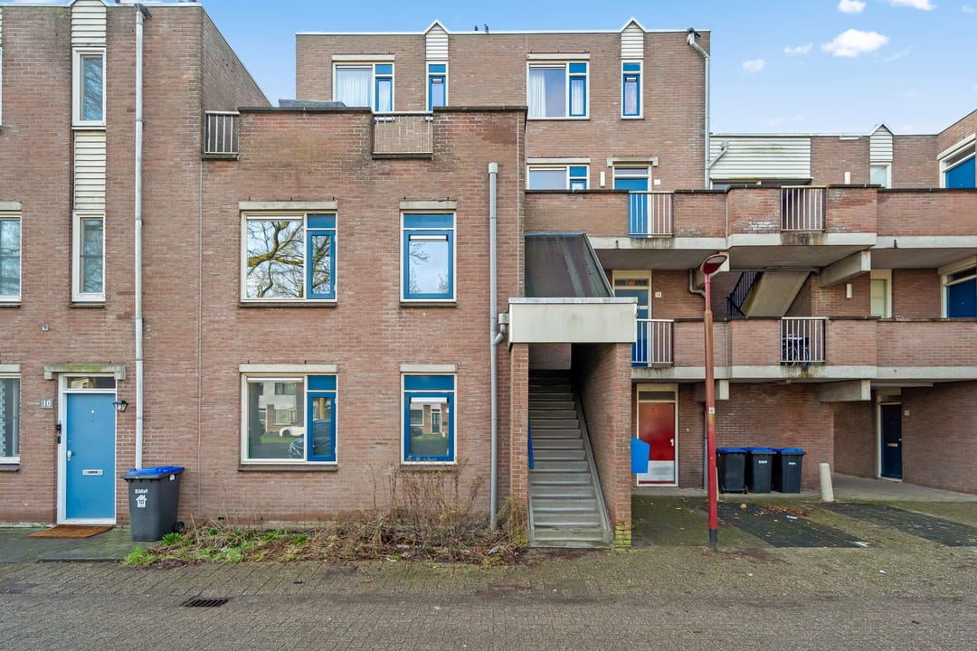 Foto 8 van Aalscholver 13