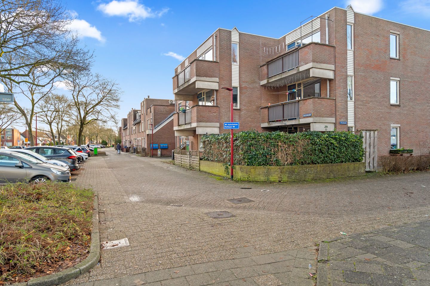 Foto 5 van Aalscholver 13
