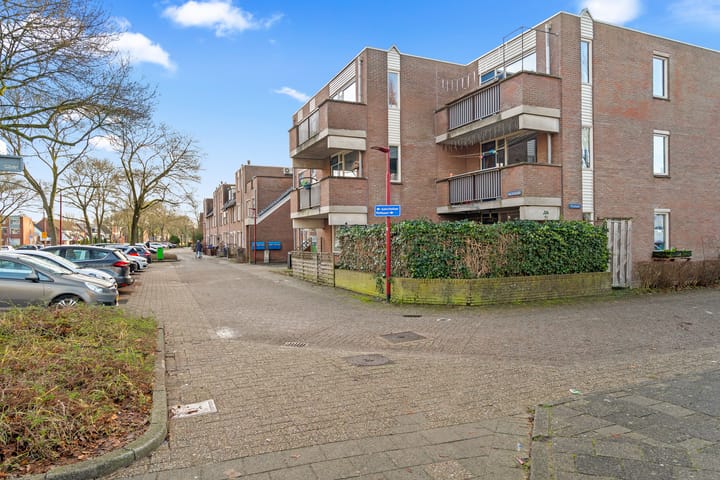 Photo 5 of Aalscholver 13