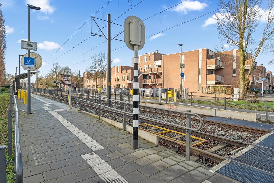 Foto 47 van Aalscholver 13