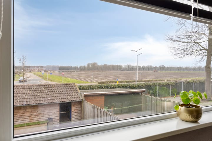 Foto 13 van Leliestraat 52