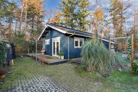 Beukenlaan thumbnail