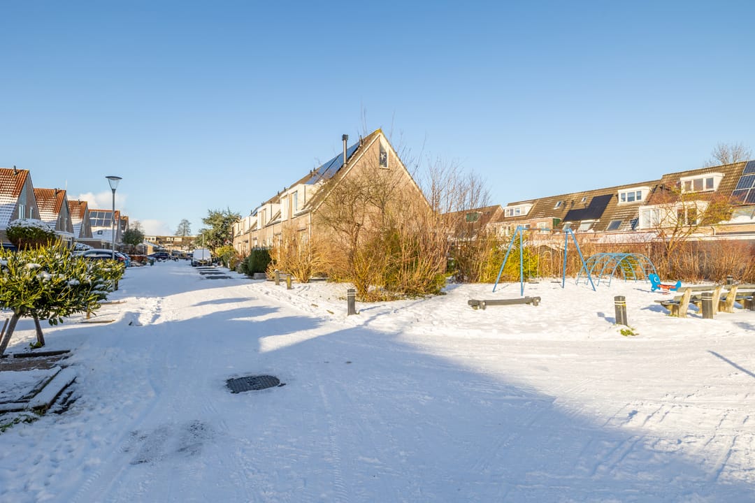 Photo 46 of Koninginnekruid 16