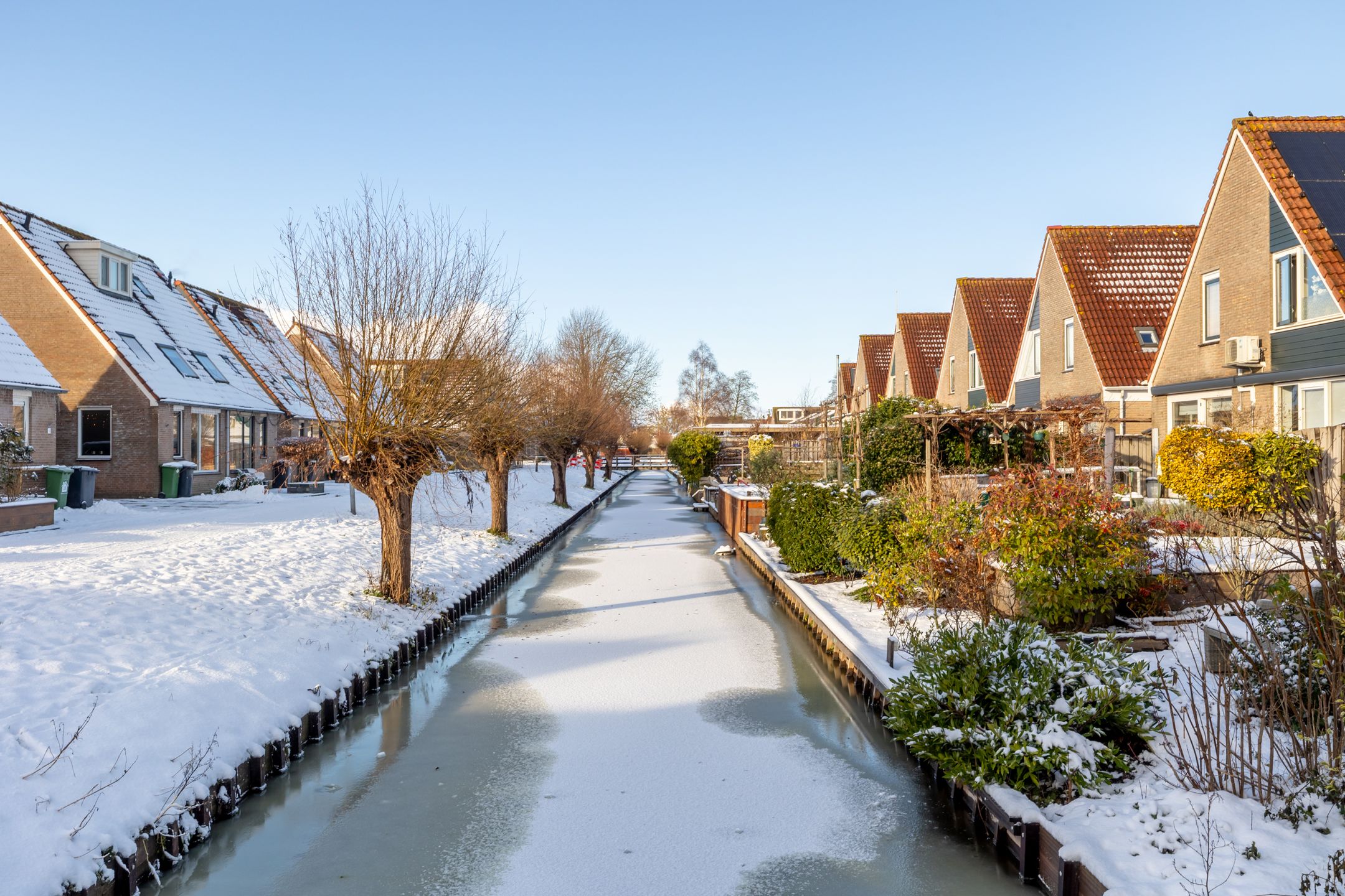 Photo 42 of Koninginnekruid 16