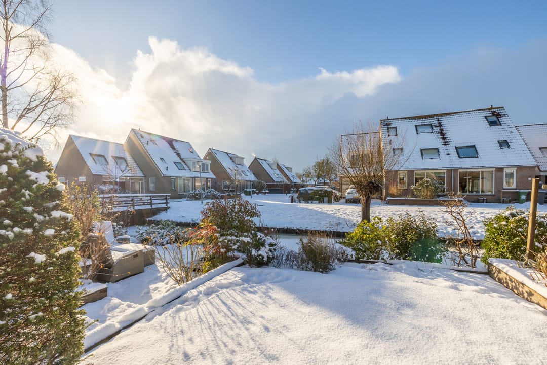 Photo 41 of Koninginnekruid 16