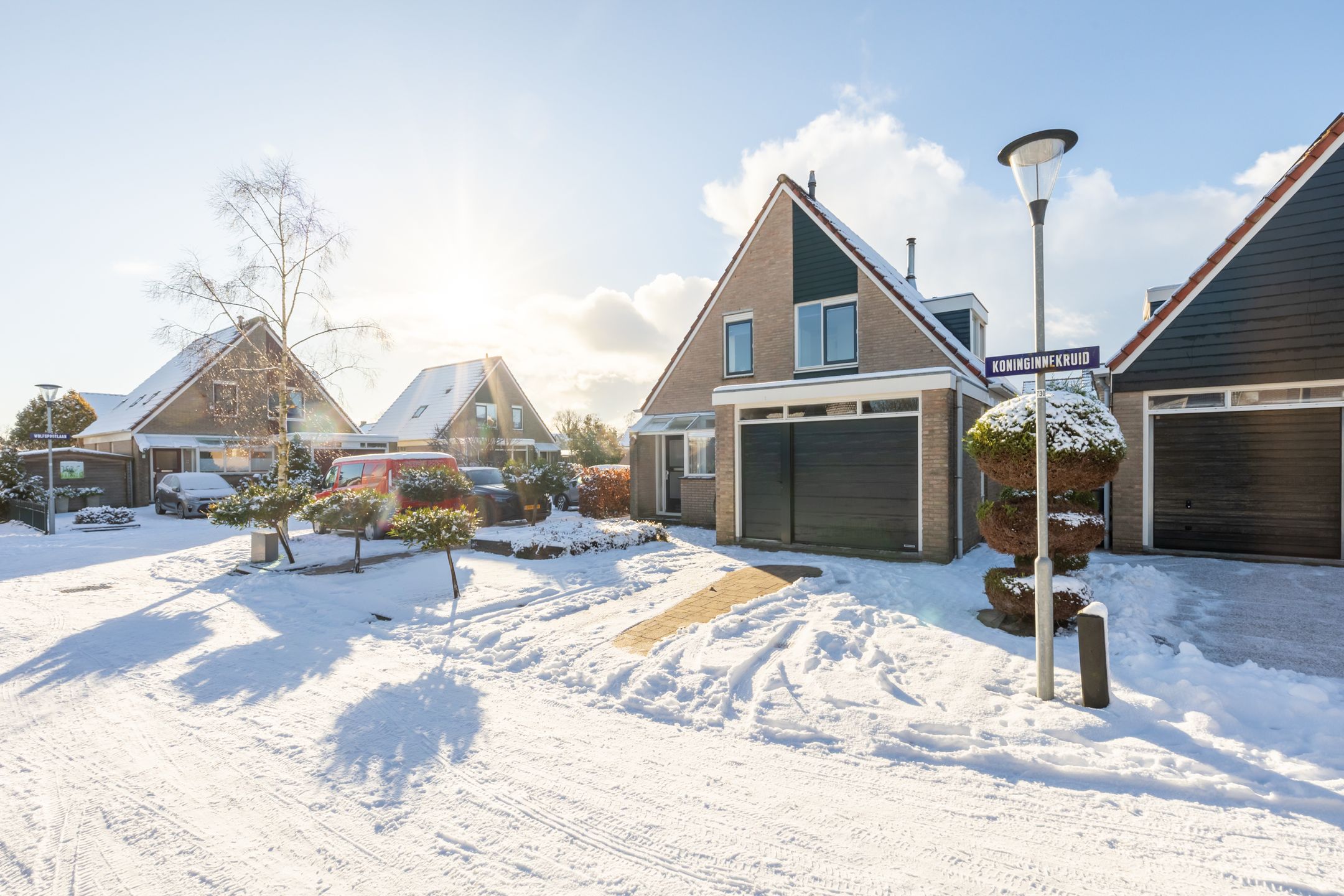 Photo 45 of Koninginnekruid 16