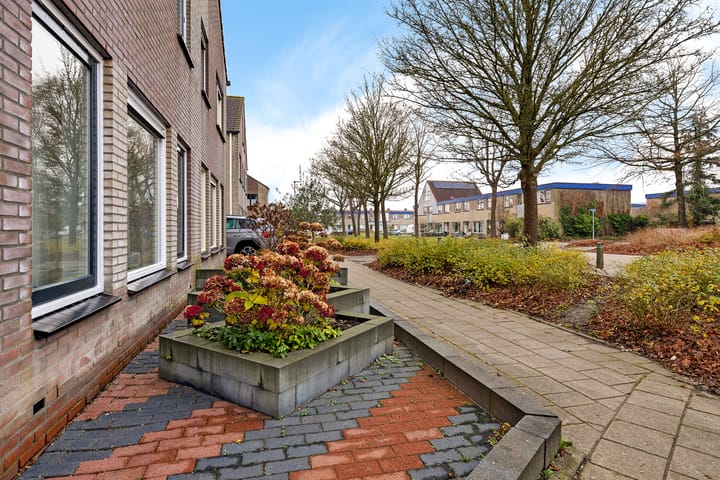 Foto 7 van De Bank 31