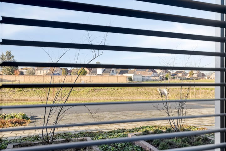 Foto 41 van Sloestraat 17