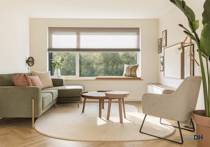 Photo 4 of Scholekster 28