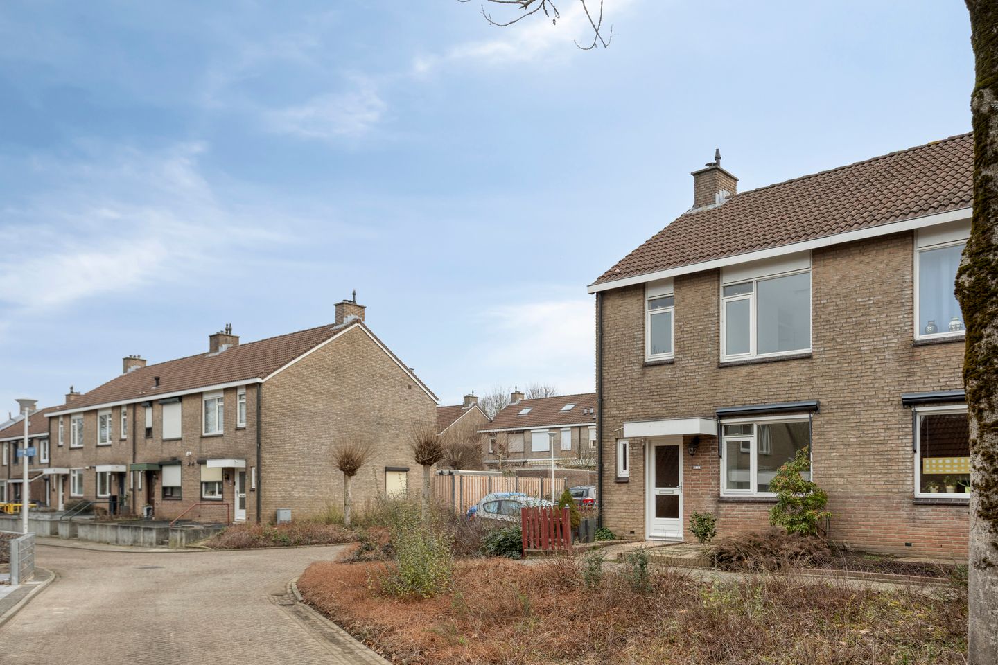 Foto 20 van Fossielenerf 112