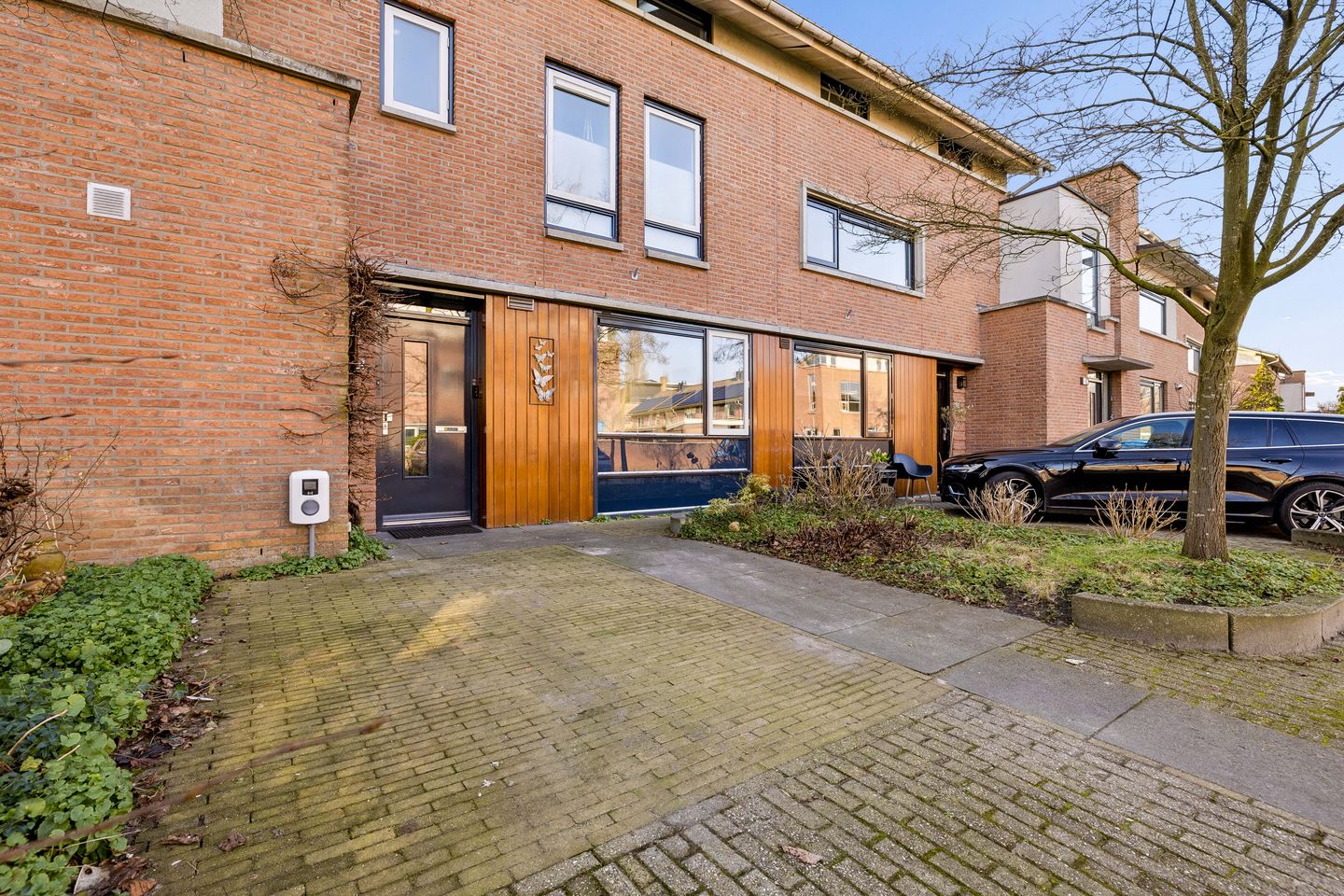 Foto 5 van Sikkelkruid 51