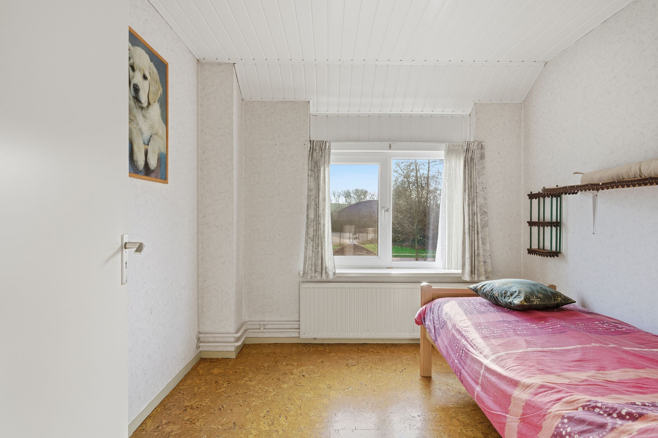 Foto 21 van Portugalhof 3