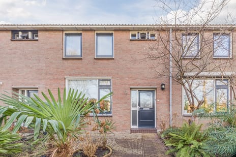 Van Polanenstraat thumbnail