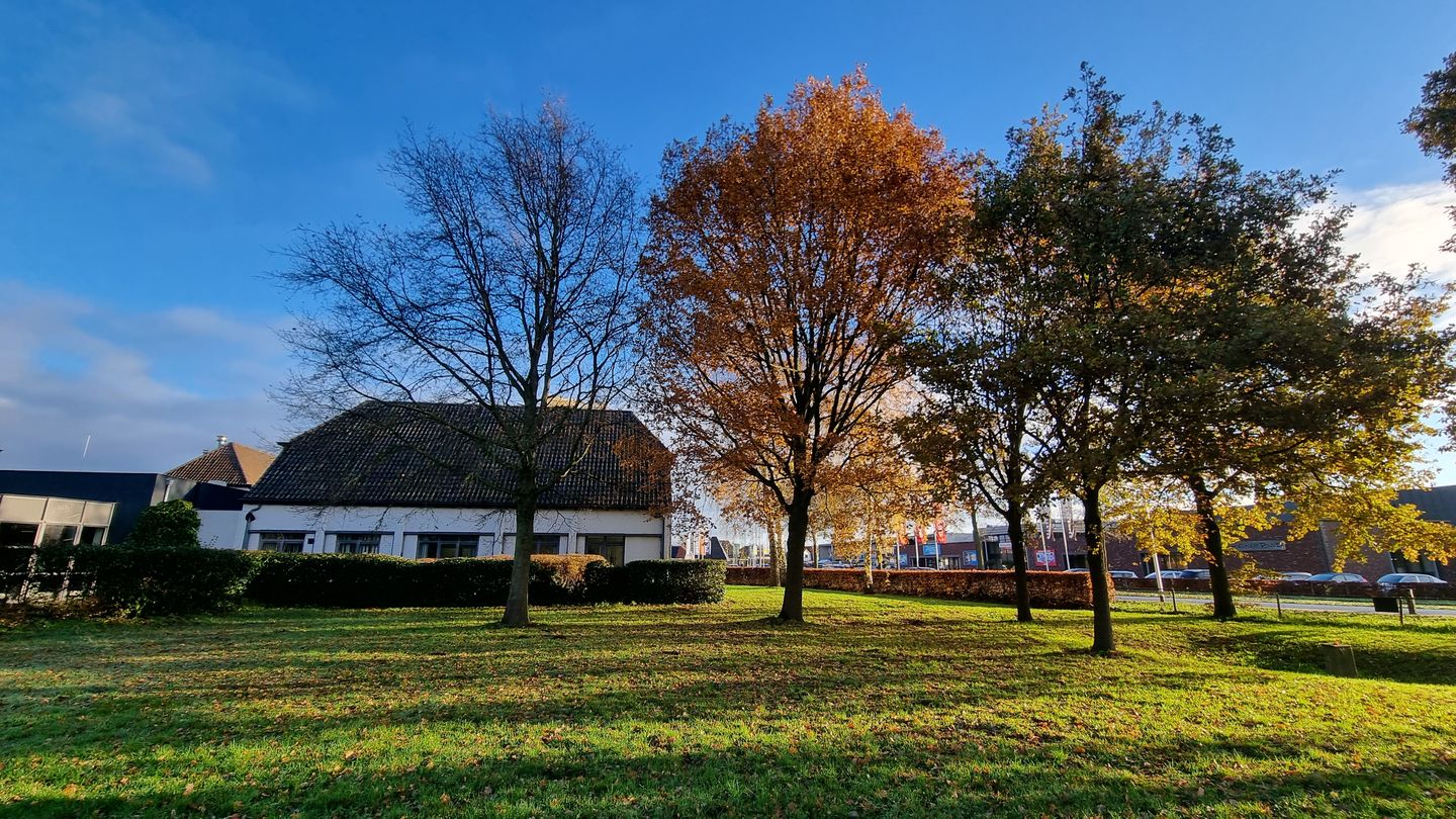 Bekijk foto 3 van Zomerdijk 8