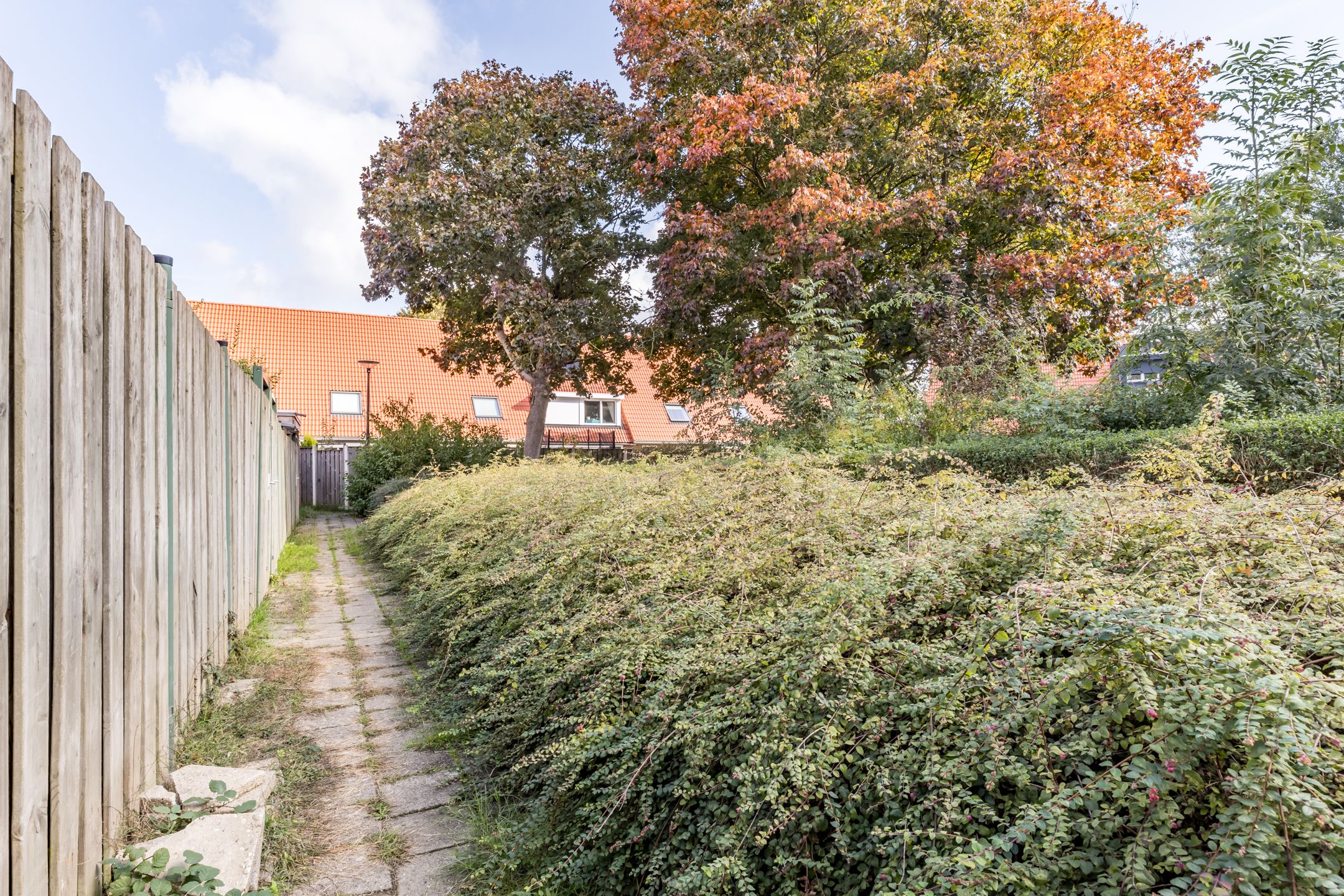 Foto 39 van Zuiderbeemd 11