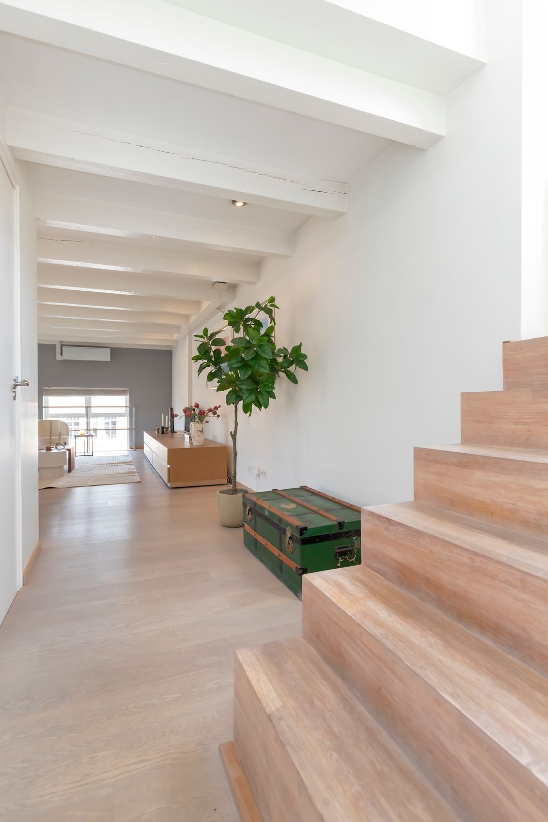 Foto 28 van Karthuizersplantsoen 24