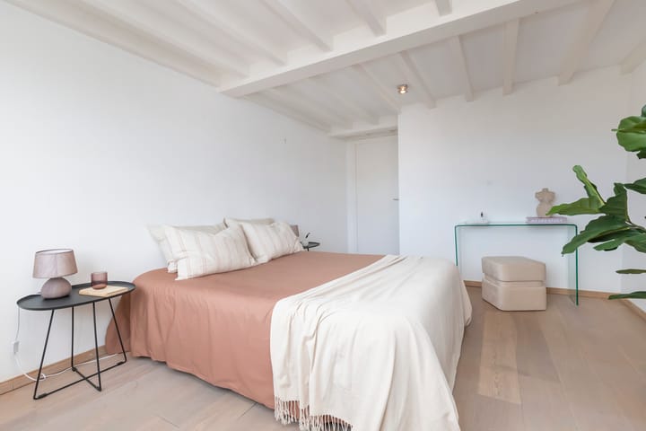 Foto 33 van Karthuizersplantsoen 24