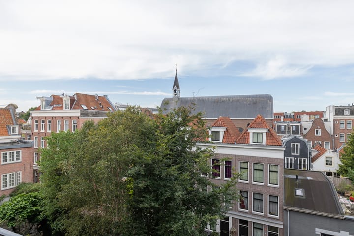 Foto 34 van Karthuizersplantsoen 24