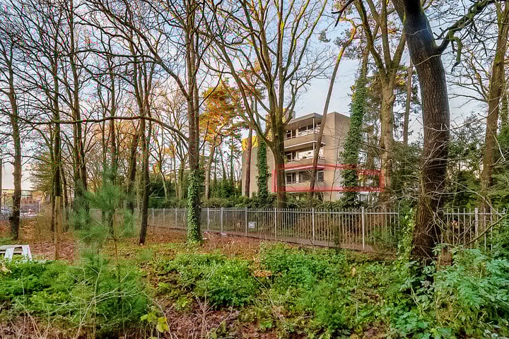 Foto 42 van Soestdijkerstraatweg 82-18