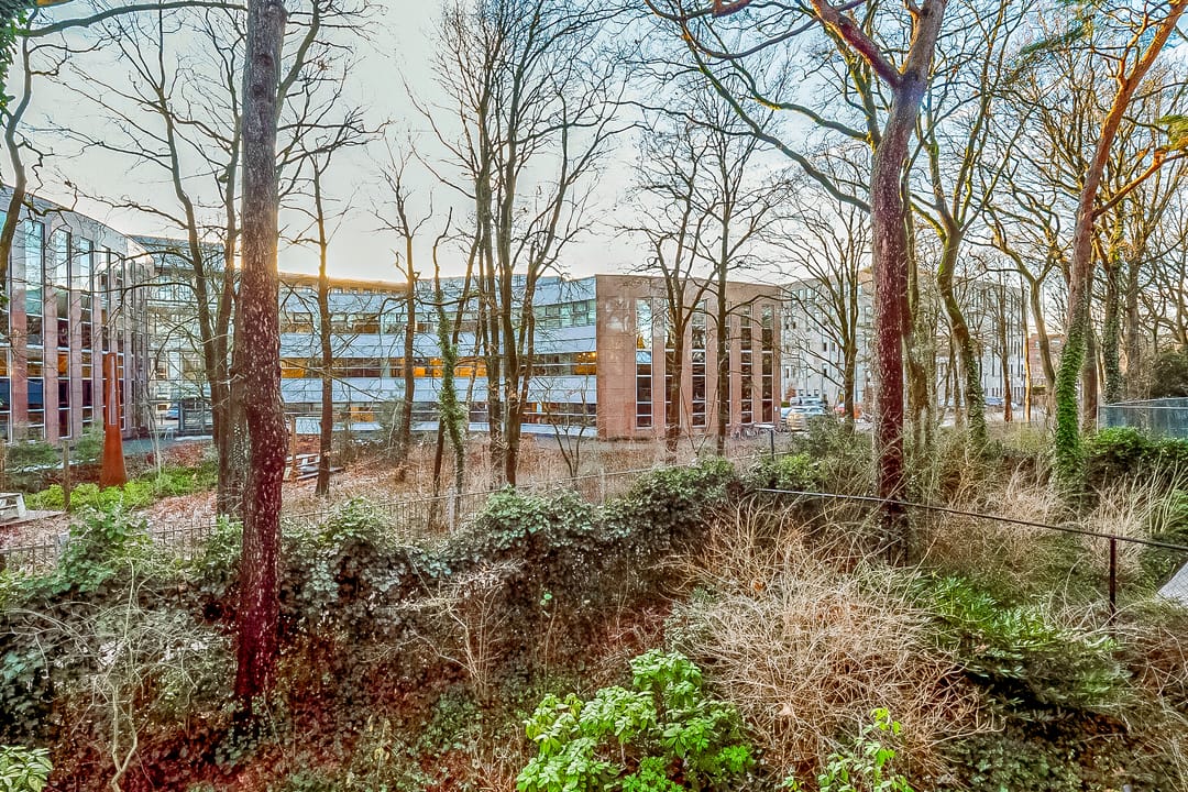 Foto 43 van Soestdijkerstraatweg 82-18