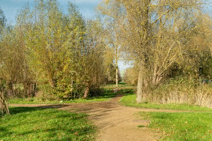 Foto 45 van Woudlaar 51