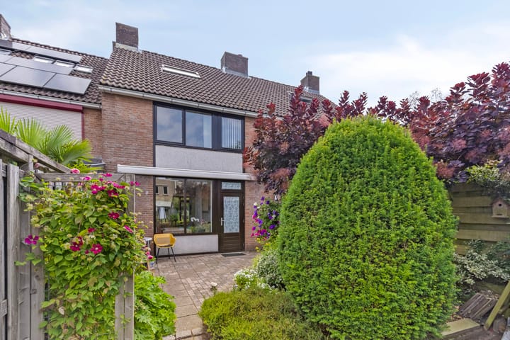 Photo 3 of Lange Meet 46