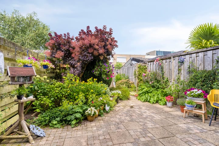 Photo 27 of Lange Meet 46