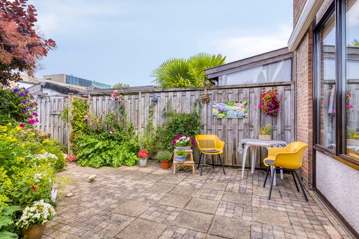 Photo 28 of Lange Meet 46